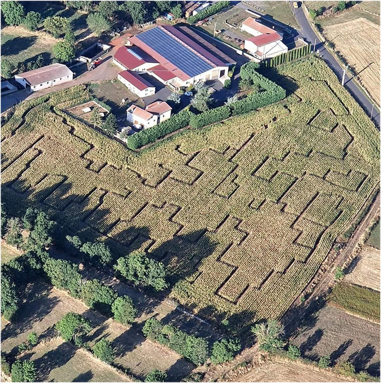 Labyrinthe de maïs La Ferme Pays